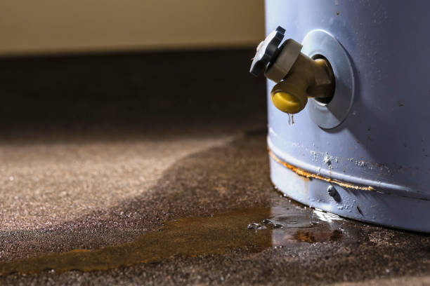 Best Residential water damage restoration  in Newberg, OR