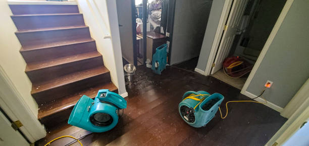 Best Water damage mitigation services  in Newberg, OR