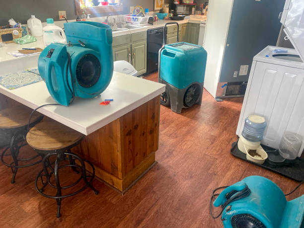 Best 24-hour water damage restoration  in Newberg, OR