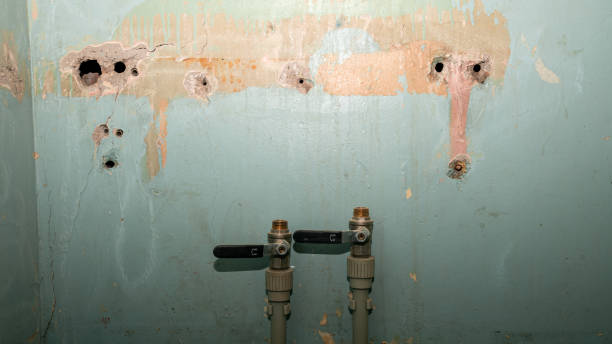 Best Local water damage restoration  in Newberg, OR