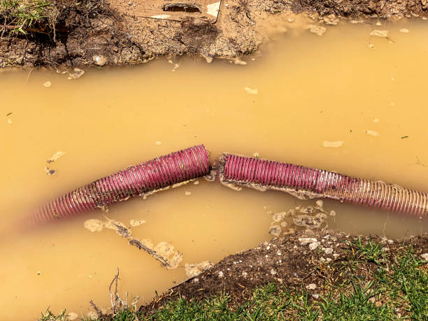 Best Water damage restoration insurance claims  in Newberg, OR