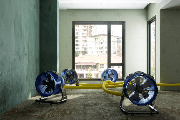 Best Sewage cleanup and water damage restoration  in Newberg, OR