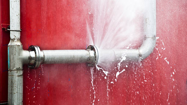 Best Mold removal after water damage  in Newberg, OR